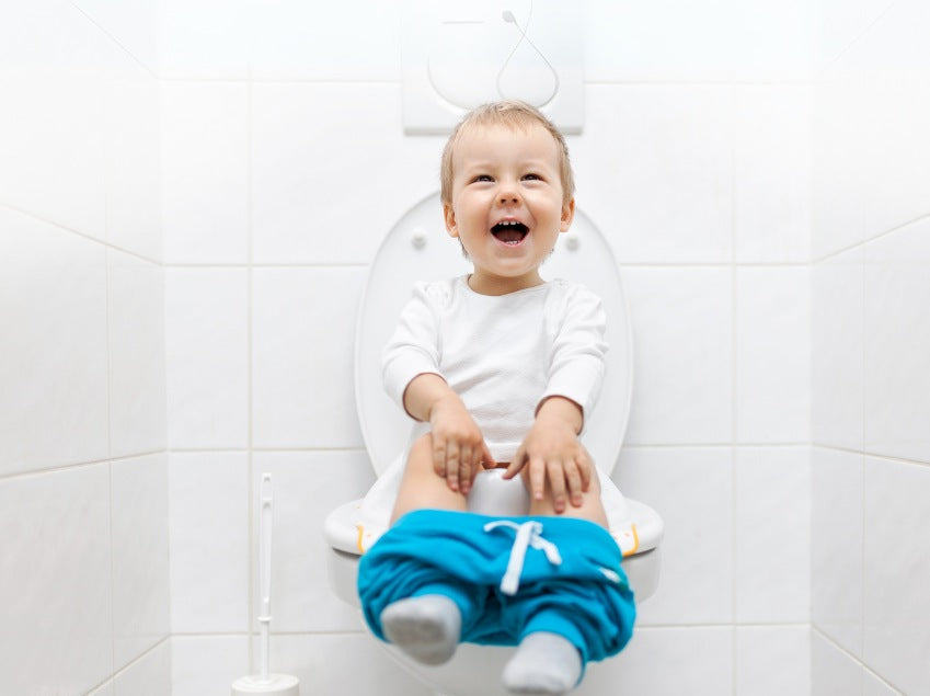 The Great Potty Debate: Toilet vs. Training Potty