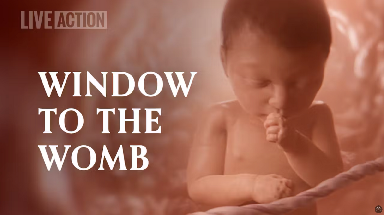 Window to the Womb: A Beautiful Glimpse of the Miracle of Life
