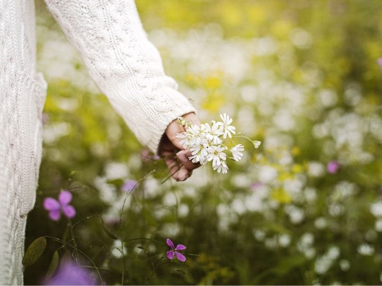 EveryLife Women - Clean Field