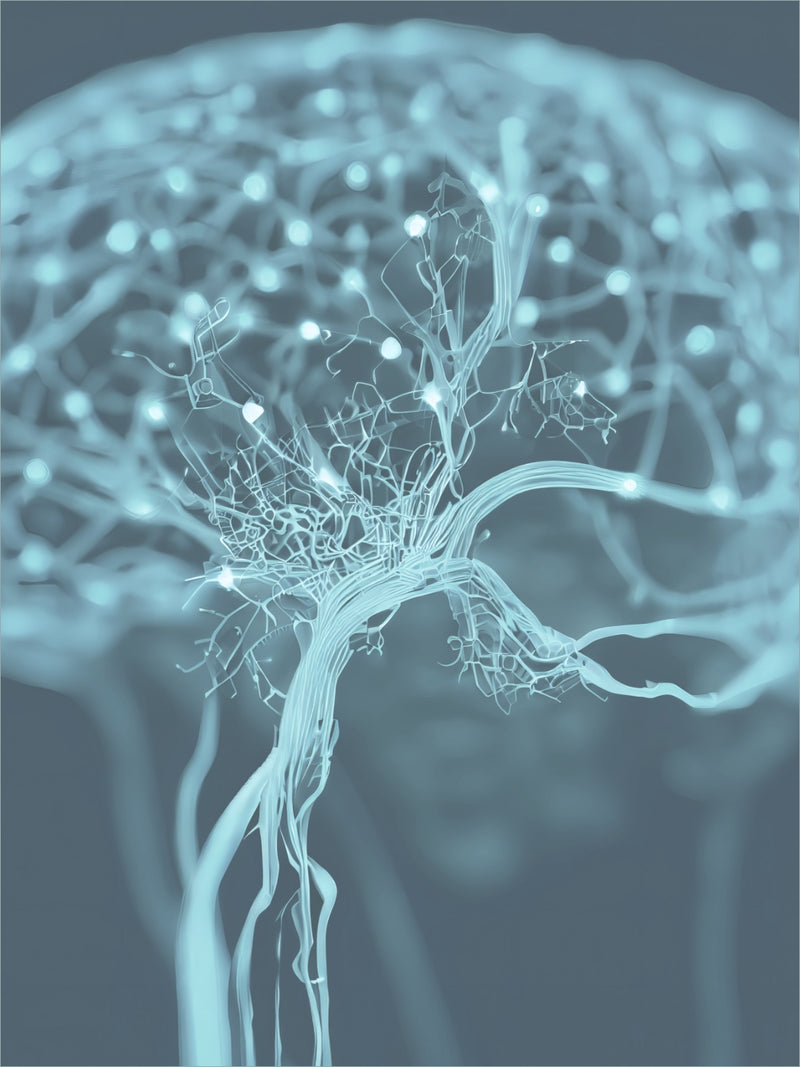 Pregnancy Brain