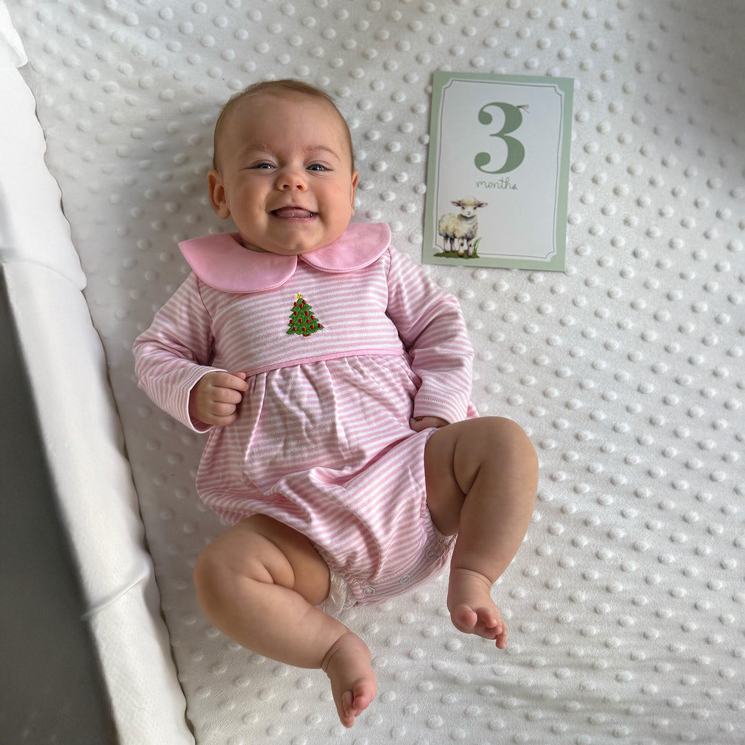 Baby Monthly Milestone Cards