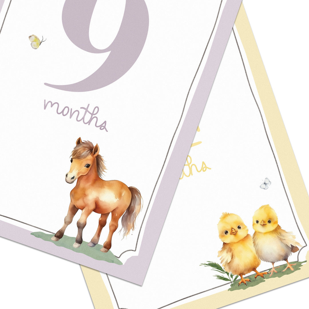 Baby Monthly Milestone Cards