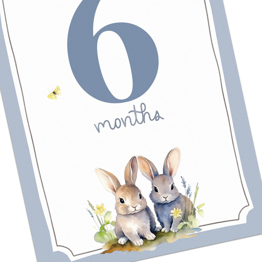 Baby Monthly Milestone Cards