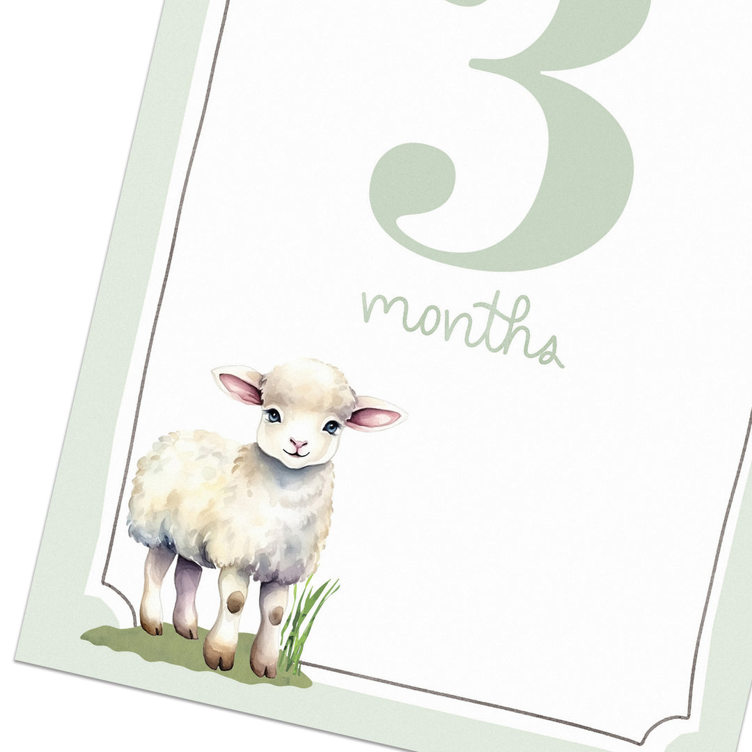 Baby Monthly Milestone Cards